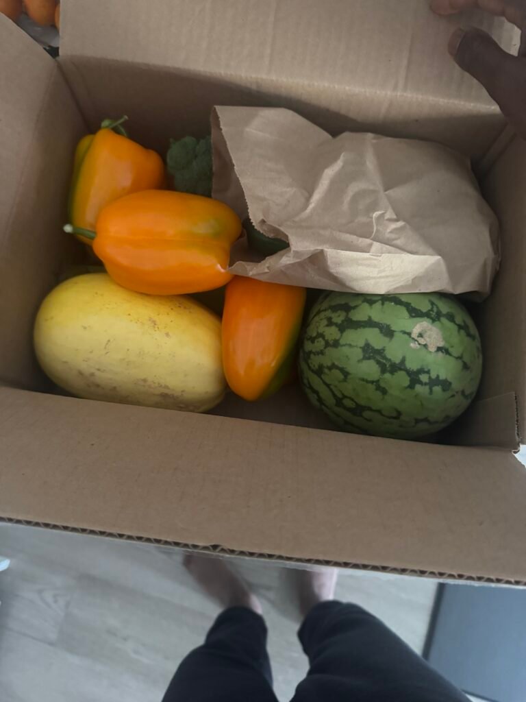Small Odd Bunch grocery delivery